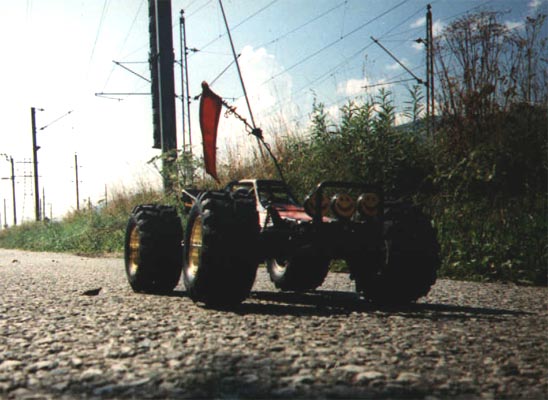 Grasshopper