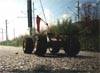 Grasshopper